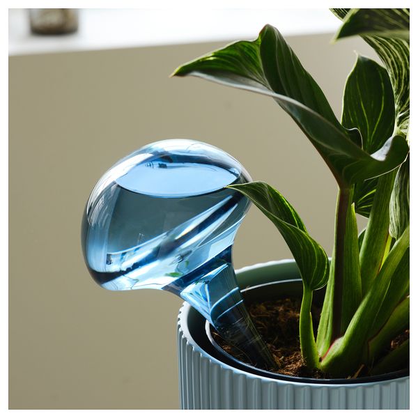 Система самополива, 40 сл, стекло разные цвета IKEA DAKSJUS 805.671.07 - фото 4