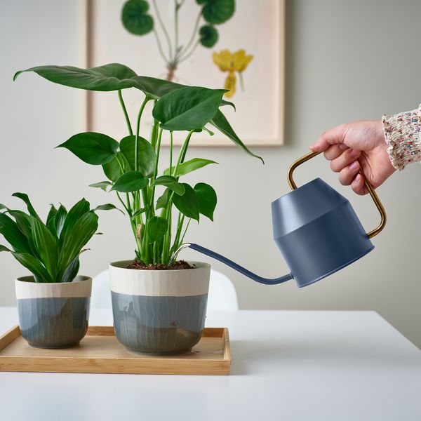 Лейка, 0.9 л, темно-синий, золотой IKEA VATTENKRASSE ВАТТЕНКРАССЕ 805.360.12 - фото 3