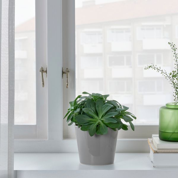 Кашпо, для дома, улицы серый 9 см IKEA SKOGSVINBÄR СКОГСВИНБЭР 705.084.44 - фото 4