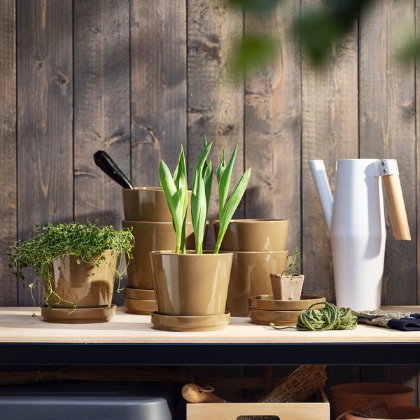 Горшок цветочный с поддоном, 12 см, для дома, улицы желто-коричневый IKEA CITRUSFRUKT 905.515.73 - фото 5