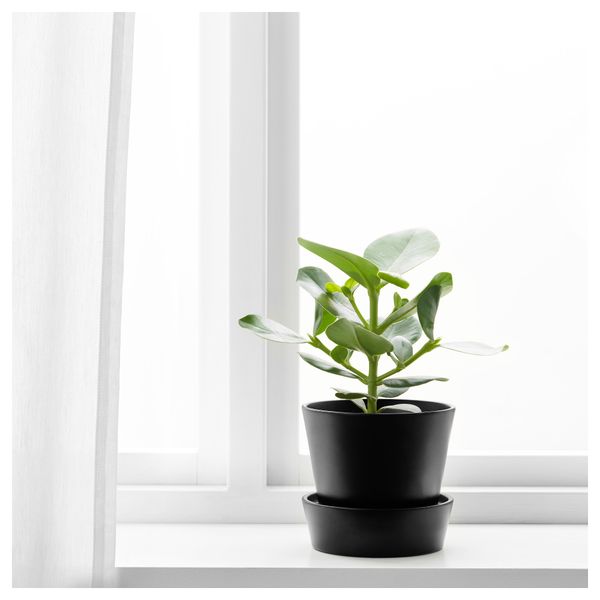 Горшок цветочный с поддоном СЕНАП, черный (12 см) - фото 2