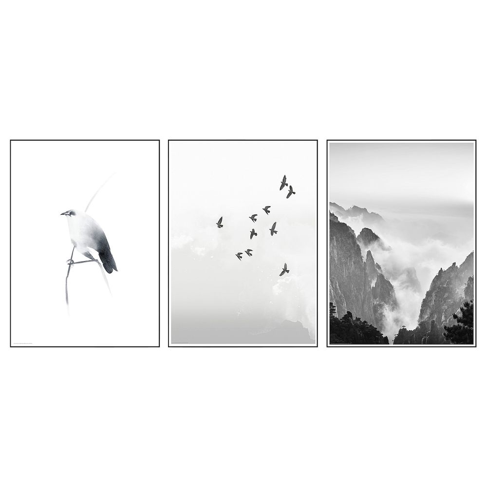 Постер, Птица на ветке 50x70 см IKEA BILD БИЛЬД 504.914.68 - фото 1