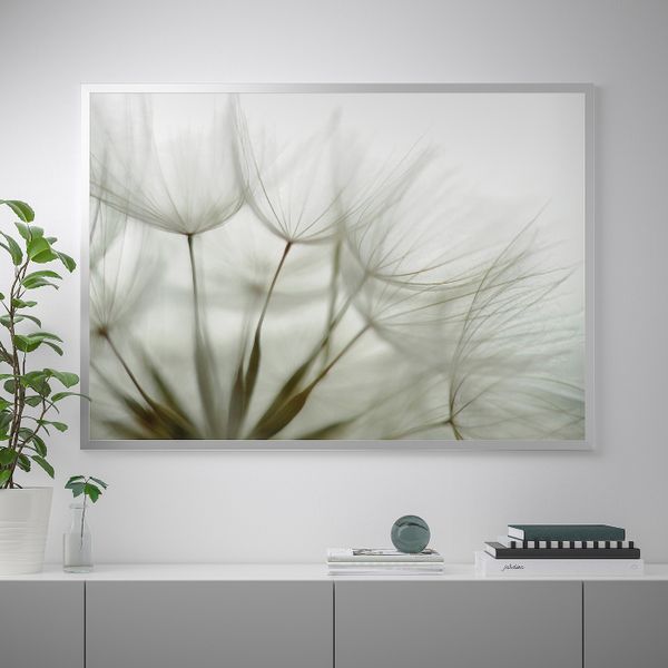 Картина с рамой, Одуванчик/цвет алюминия 140x100 см IKEA БЬЁРКСТА 092.984.21 - фото 3