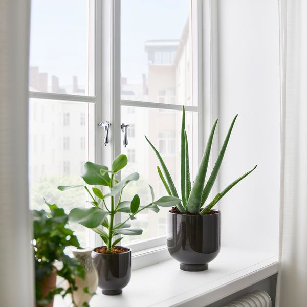 Кашпо, 15 см, для дома, улицы антрацит IKEA DRÖMSK ДРЁМСК 805.451.39 - фото 3