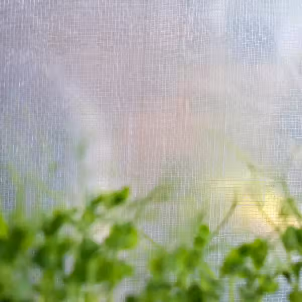 ASPAREN Теплица - прозрачный белый 95x32x162 см - фото 5