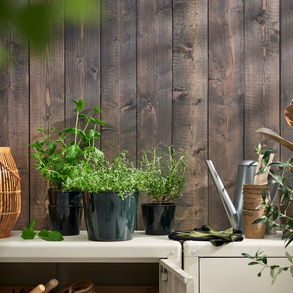 Кашпо, 9 см, для дома, улицы черно-зеленый IKEA SKOGSVINBÄR СКОГСВИНБЭР 805.436.92 - фото 5