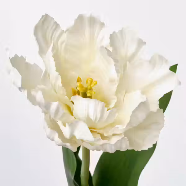 SMYCKA Цветок искусственный - фото 2