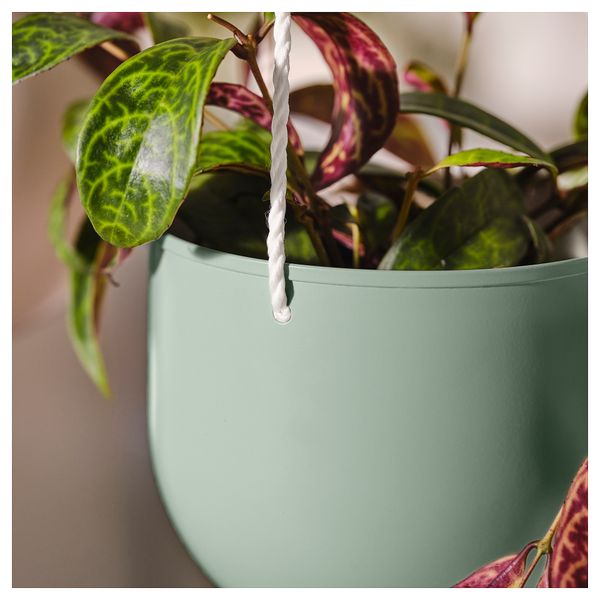 Набор подвесных кашпо,2 штуки IKEA DAKSJUS 105.670.35 - фото 5