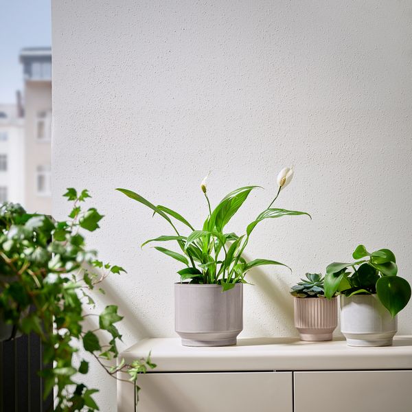 Кашпо, для дома, улицы, серый-бежевый, 15 см IKEA HONUNGSPALM 005.957.98 - фото 4