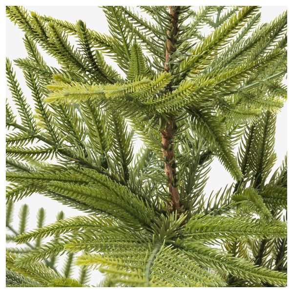 Искусственное растение в горшке ФЕЙКА, д/дома/улицы Араукария (12 см) - схема-чертеж с размерами