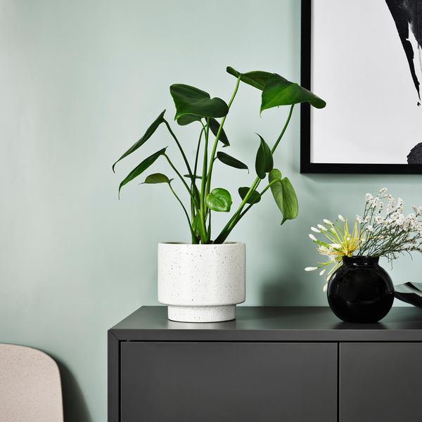 Кашпо, 12 см, для дома, улицы белый с оттенком IKEA DRAKFRUKT ДРАКФРУКТ 005.379.73 - фото 3