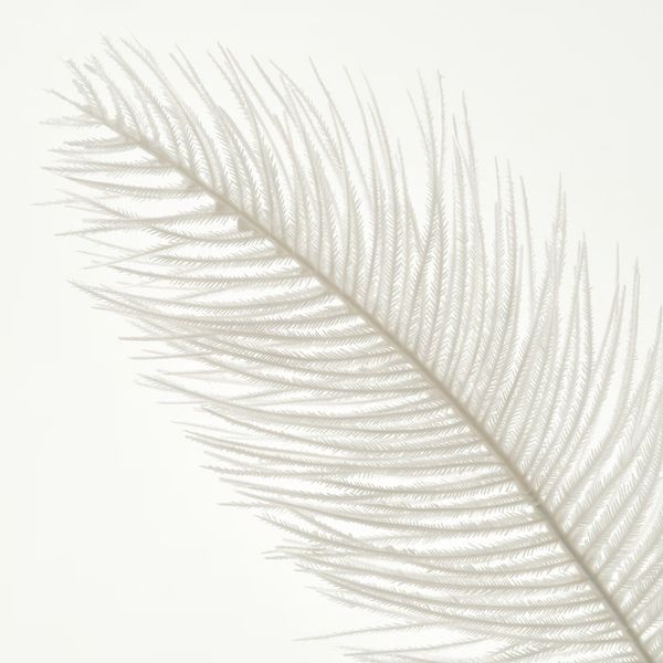 Искусственная ветка IKEA, дополнительный ракурс - схема-чертеж с размерами