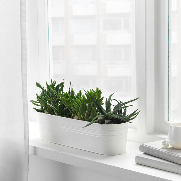 Кашпо, для/дома/улицы, овал белый, 10.5 см IKEA ВИНТЕРФЕСТ 404.346.28 - фото 3