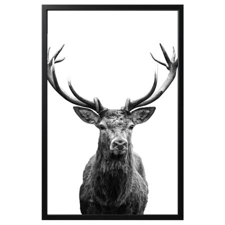 Картина с рамой, 78x118 см, Рога, черный IKEA BJÖRKSTA БЬЁРКСТА 592.977.73