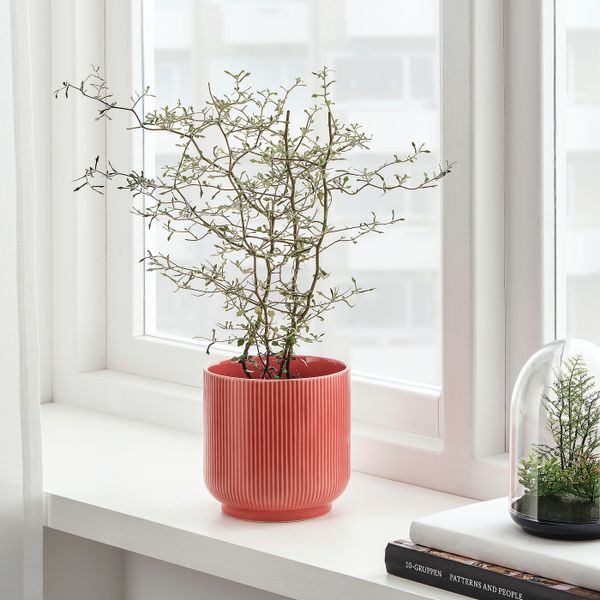 Кашпо, красно-розовый 12 см IKEA ГРАДВИС 004.527.23 - схема-чертеж с размерами