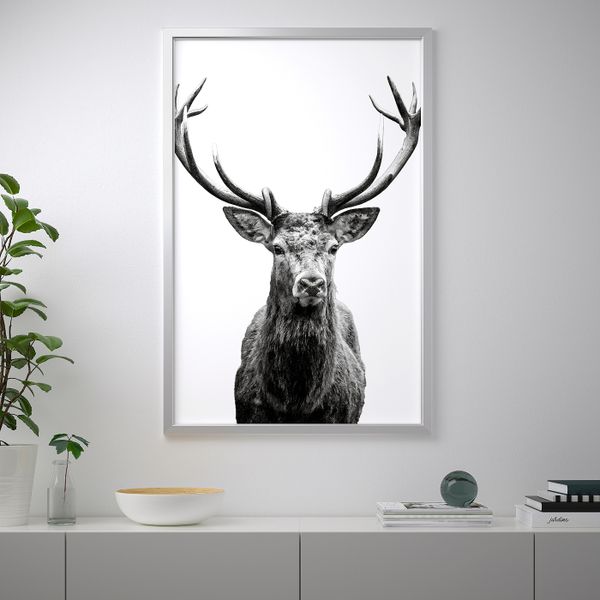 Картина с рамой, Рога/цвет алюминия 78x118 см IKEA BJÖRKSTA БЬЁРКСТА 392.977.69 - фото 2