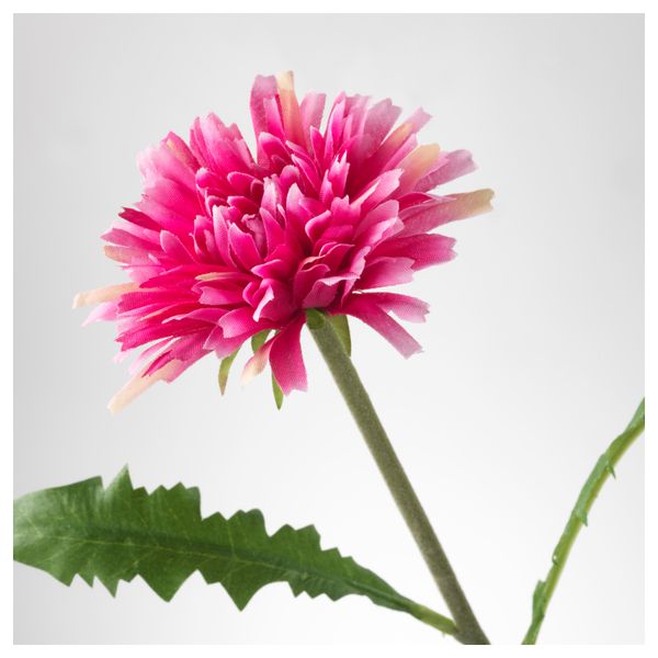 Цветок искусственный СМИККА, Одуванчик, темно-розовый (30 см) - схема-чертеж с размерами