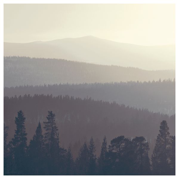 Картина СНОСТОРП, Лесной горизонт (2.5x2.5 м) - фото 1