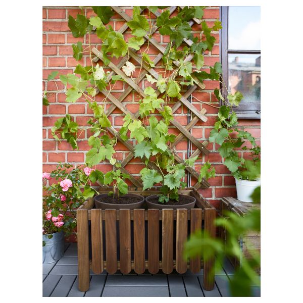 Шпалера, светло-коричневая морилка IKEA ASKHOLMEN АСКХОЛЬМЕН 703.757.12 - фото 4