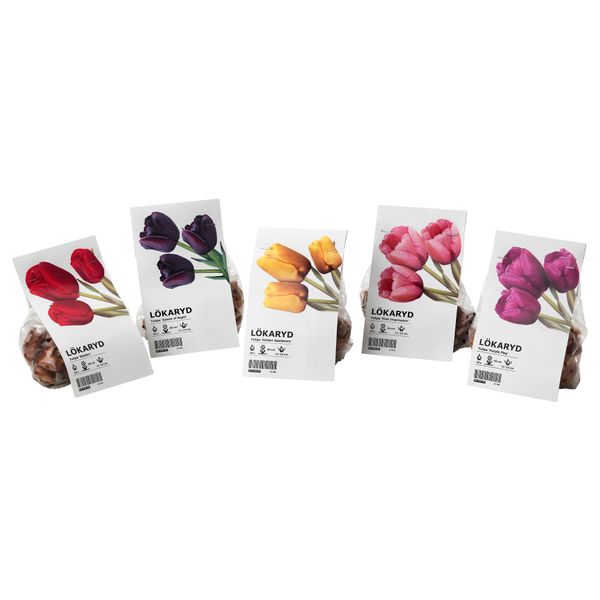 Луковицы цветочные ЛЁКАРИД, для сада, Тюльпан различные растения - схема-чертеж с размерами