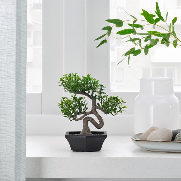 Искусственное растение и кашпо, для дома, улицы бонсай IKEA FEJKA ФЕЙКА 404.761.52 - фото 2