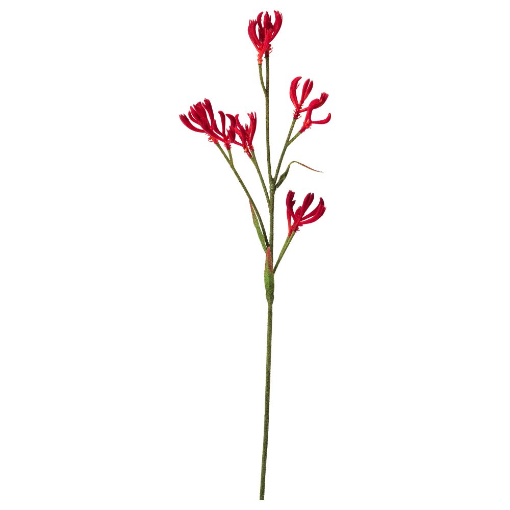 Цветок искусственный СМИККА, Анигозантос красный (63 см) - фото 1