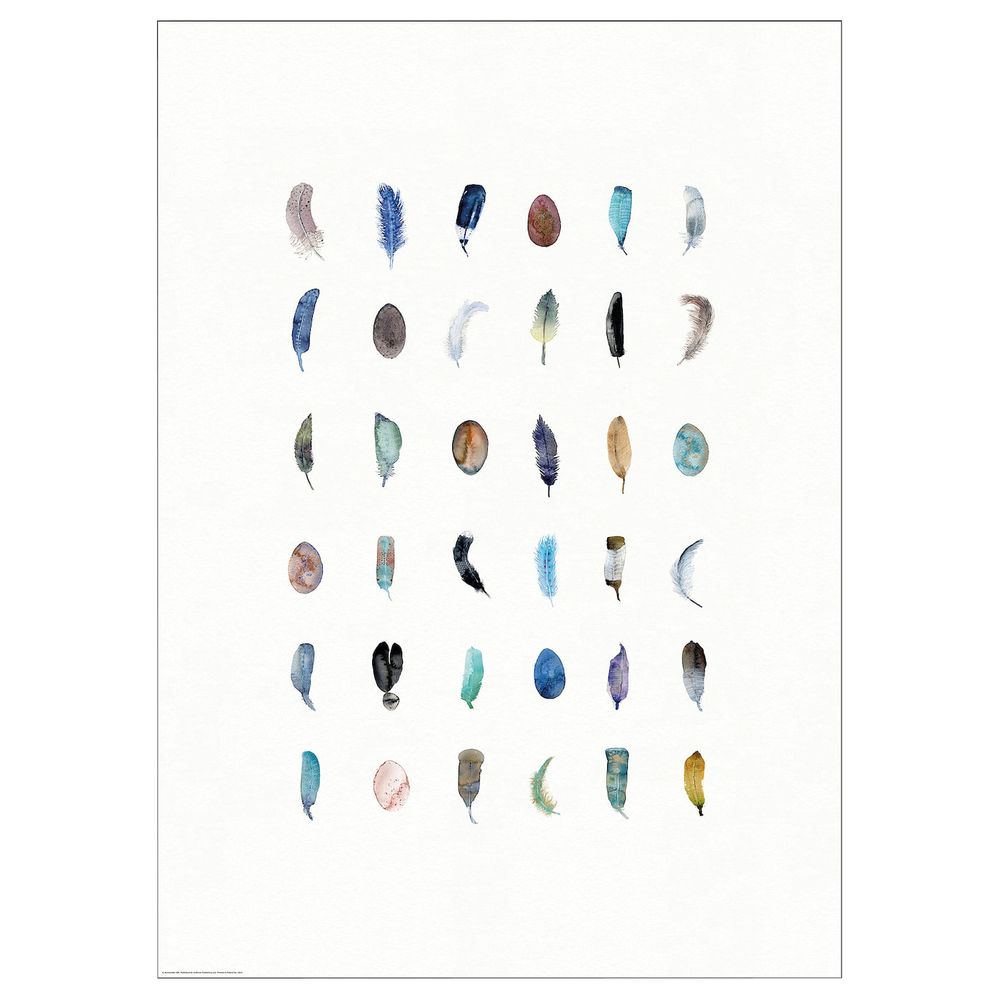 Постер, Разноцветные перышки 50x70 см IKEA BILD БИЛЬД 304.914.50 - фото 1