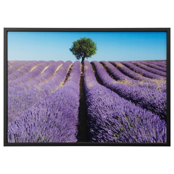 Картина с рамой БЬЁРКСТА, Поле лаванды, черный (140x100 см) - фото 1