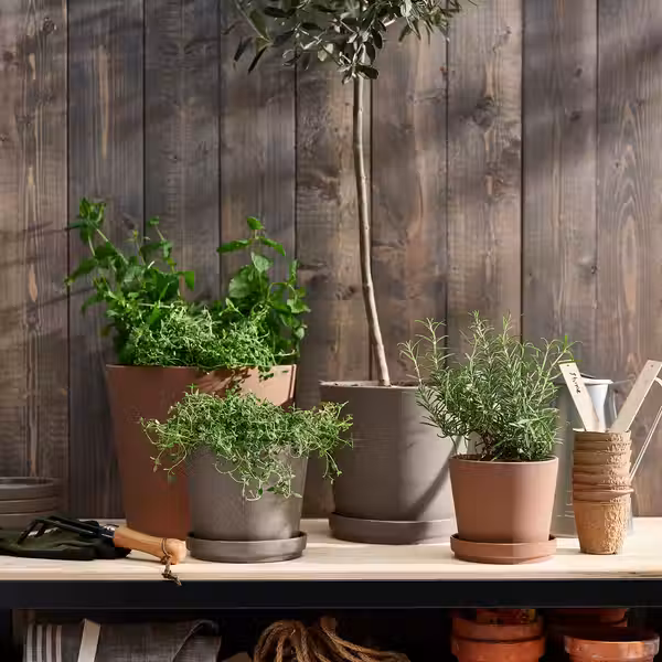 KLARBÄR КЛАРБЭР Горшок цветочный с поддоном - фото 6