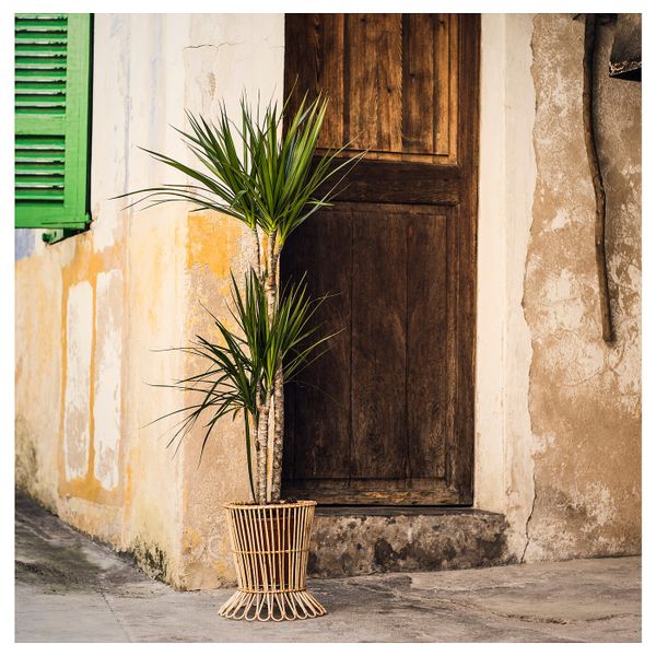 Пьедестал для цветов, ротанг 29 см IKEA KANELSTÅNG КАНЕЛЬСТОНГ 403.874.05 - фото 9