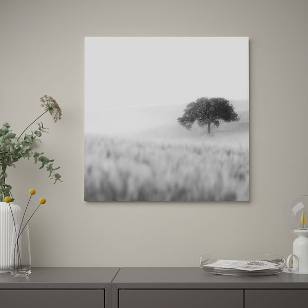 Картина, 56x56 см, Одинокое дерево IKEA PJÄTTERYD ПЬЕТТЕРИД 805.545.05 - фото 3