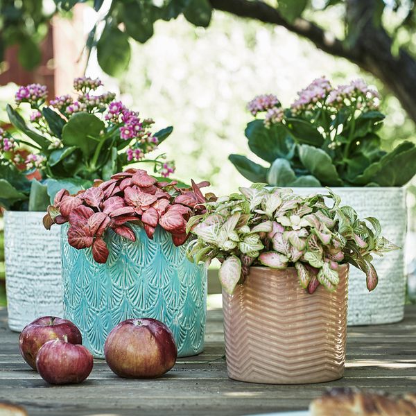 Кашпо, для дома, улицы белый, 12 см IKEA CHIAFRÖN ЧИАФРЁН 504.757.60 - фото 5