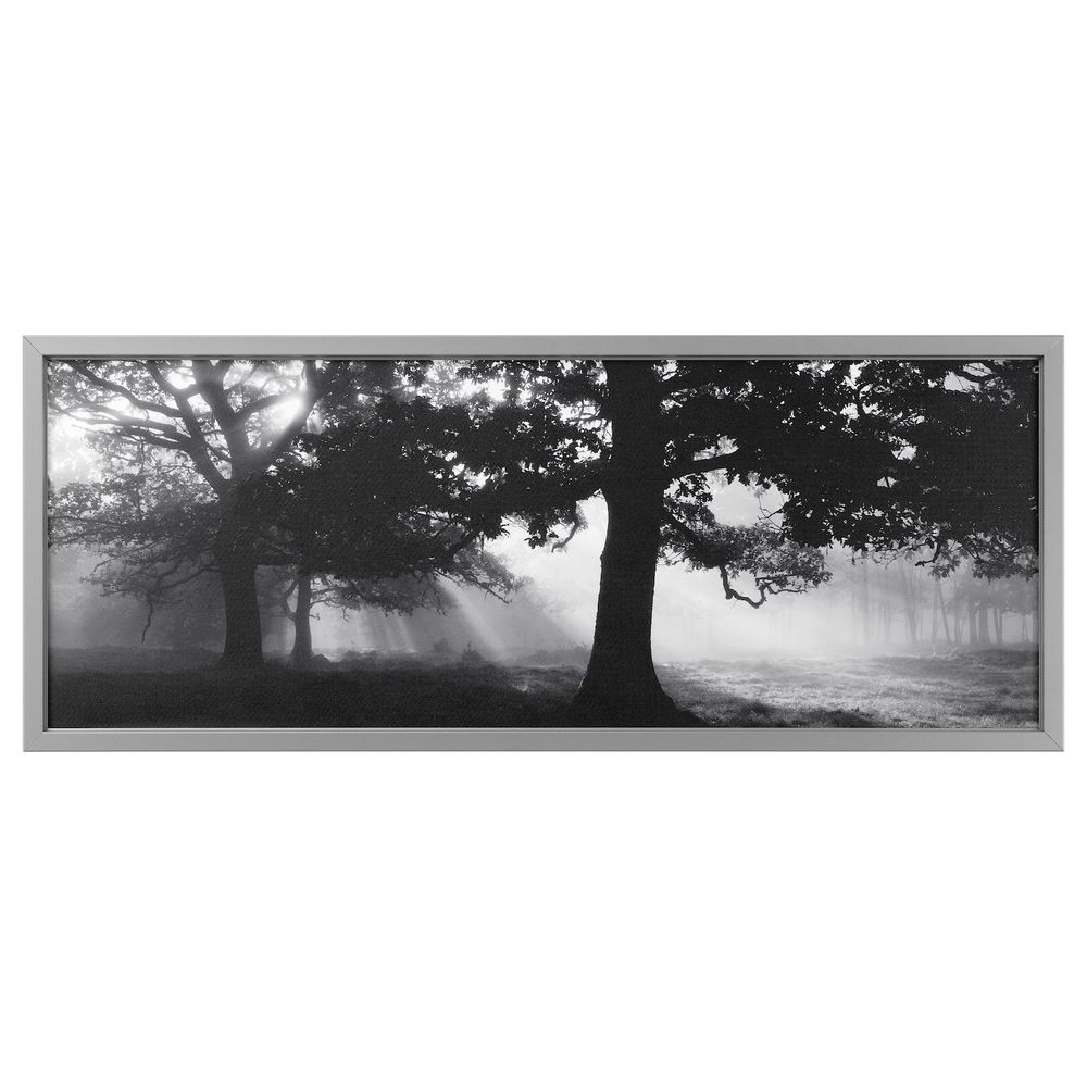 Картина с рамой, Лесная поляна II, цвет алюминия 140x56 см IKEA БЬЁРКСТА 092.072.56 - фото 1