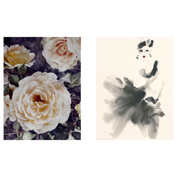 Постер, Роза Скарлет, 30x40 см IKEA DRÖMBILD ДРЁМБИЛЬД 204.420.35 - фото 2