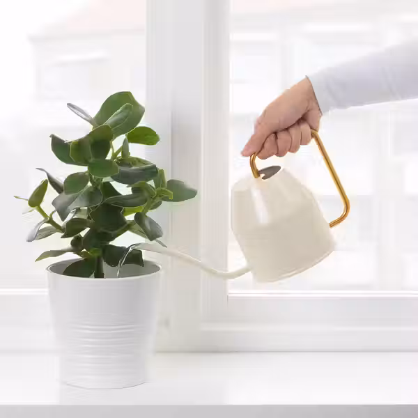 Лейка IKEA, дополнительный ракурс