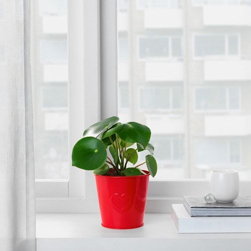 Кашпо, красный, 12 см IKEA ВИНТЕРФЕСТ 604.283.63 - фото 2