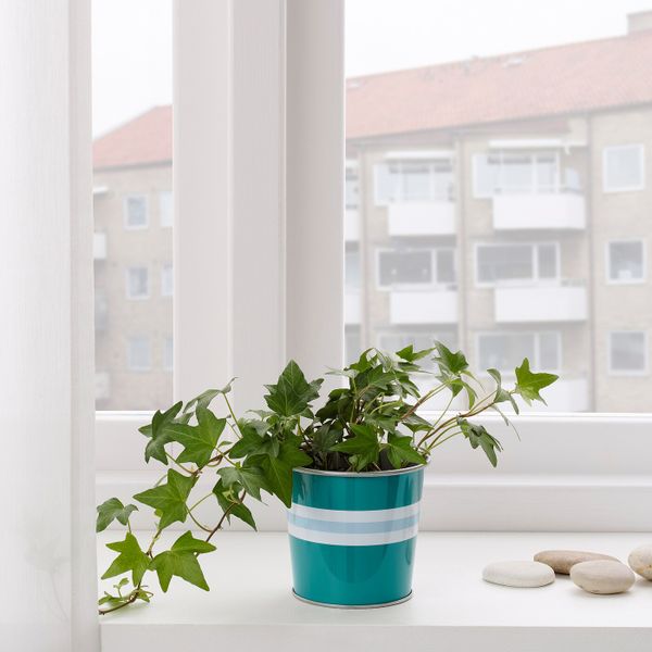 Кашпо, для дома, улицы бирюзовый 9 см IKEA КЭКИПЛОММОН 704.523.43 - фото 2