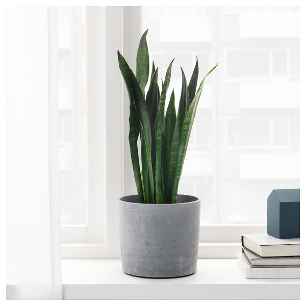 Кашпо БОЙСЕНБЭР, д/дома/улицы светло-серый - фото 5