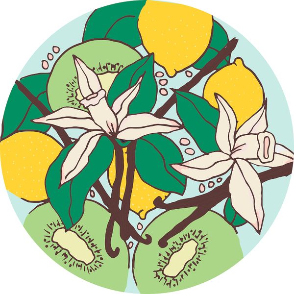 Ароматическая свеча в стакане, Летний/бирюзовый 9.5 см IKEA HOPFOGA ХОПФОГА 404.825.77 - схема-чертеж с размерами