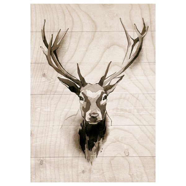 Картина, 70x100 см, Имитация дерева IKEA PJÄTTERYD ПЬЕТТЕРИД 105.365.53 - фото 1