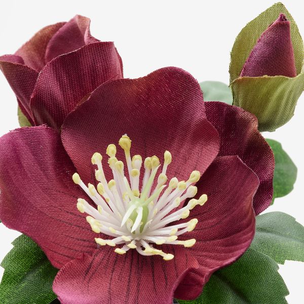 Искусственное растение в горшке,3шт, для дома, улицы зеленый/красный 6 см IKEA FEJKA ФЕЙКА 304.966.31 - схема-чертеж с размерами