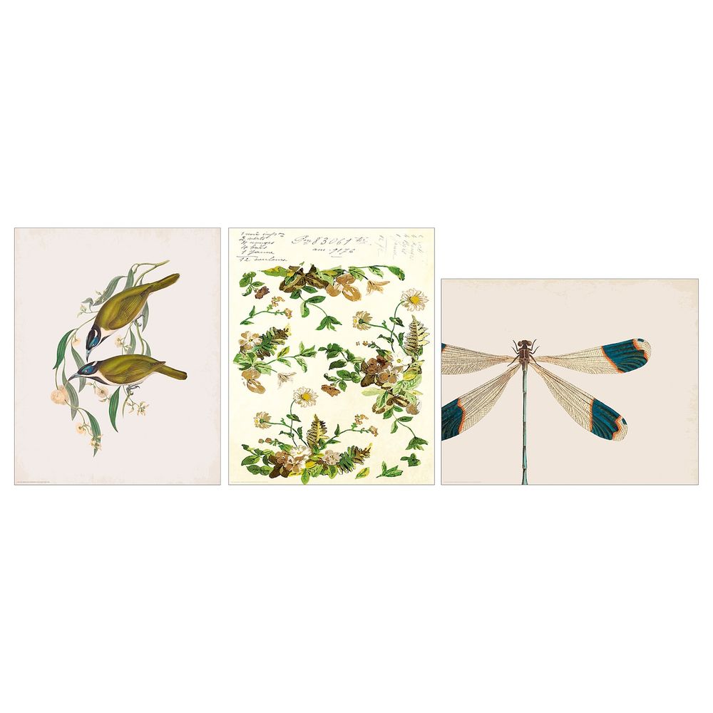 Постер, Стрекоза 40x50 см IKEA БИЛЬД 904.657.64 - схема-чертеж с размерами