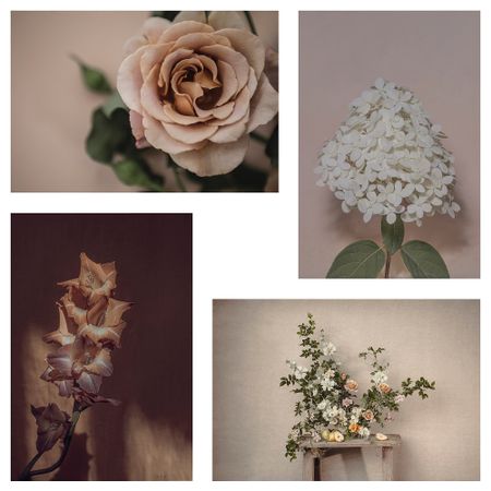 Открытка, Цветение, 10x15 см IKEA YLLEVAD ЮЛЛЕВАД 105.788.78