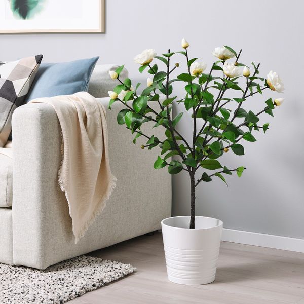 Искусственное растение в горшке, для дома, улицы/Камелия белый 19 см IKEA FEJKA ФЕЙКА 904.761.21 - фото 2