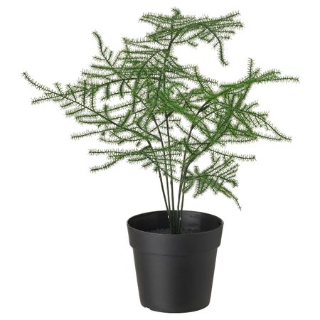 Искусственное растение в горшке, для дома, улицы Аспарагус 9 см IKEA FEJKA ФЕЙКА 604.761.32
