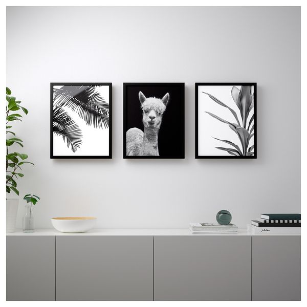 Постер БИЛЬД, Альпака (40x50 см) - схема-чертеж с размерами