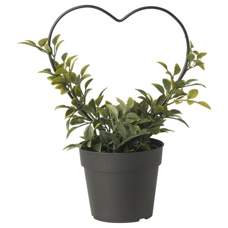 Искусственное растение в горшке, 9 см, для дома, улицы мирт, дуга IKEA VINTERFINT 305.621.45