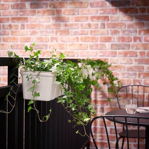 Ящик для цветов с держ, 48x18 см, для сада белый IKEA ROSENKÅL 205.355.91 - фото 3