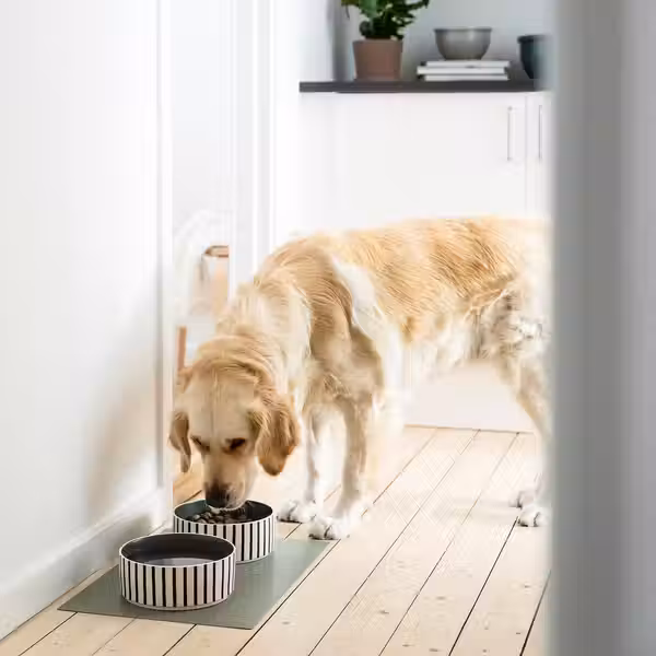 UTSÅDD УТСОДД Миска для домашнего питомца - орнамент «полоска» черно-синий/серо-зеленый 19 см - фото 3