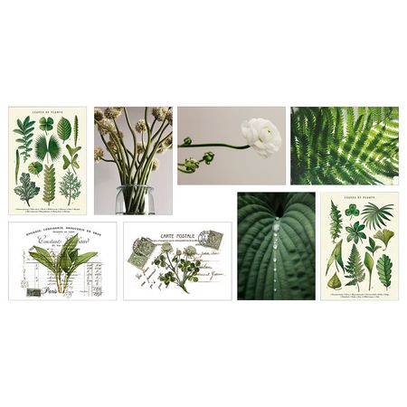 VÄXBO Открытка - Природные формы 13x18 см